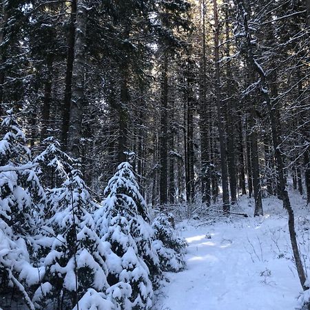 Kungsbergetnatur Järbo Eksteriør bilde